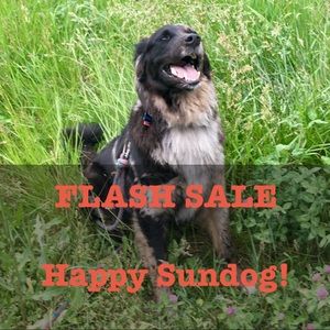 ✨F L A S H S A L E✨ anthro + free people + more!